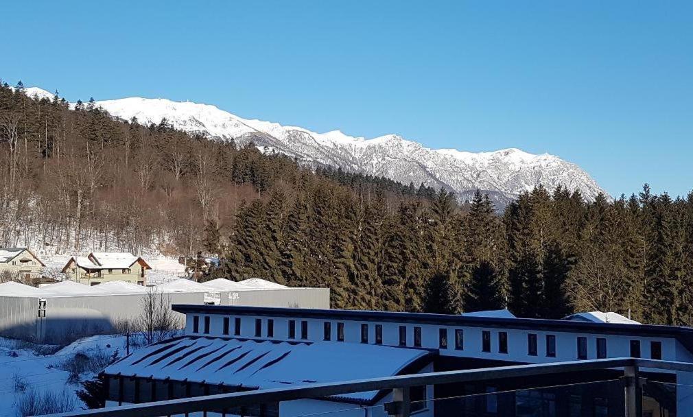 Studio Mountain View Sinaia Extérieur photo
