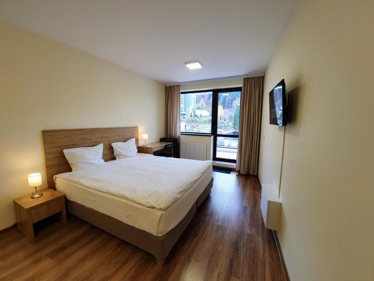 Studio Mountain View Sinaia Extérieur photo