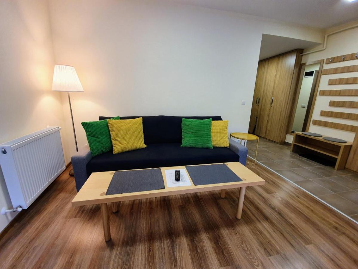 Studio Mountain View Sinaia Extérieur photo
