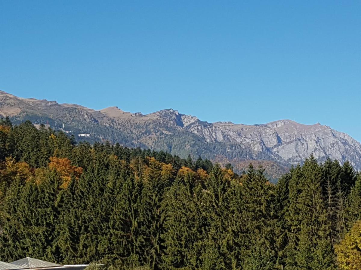 Studio Mountain View Sinaia Extérieur photo
