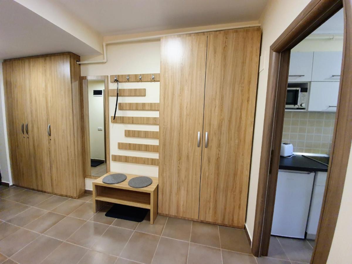 Studio Mountain View Sinaia Extérieur photo