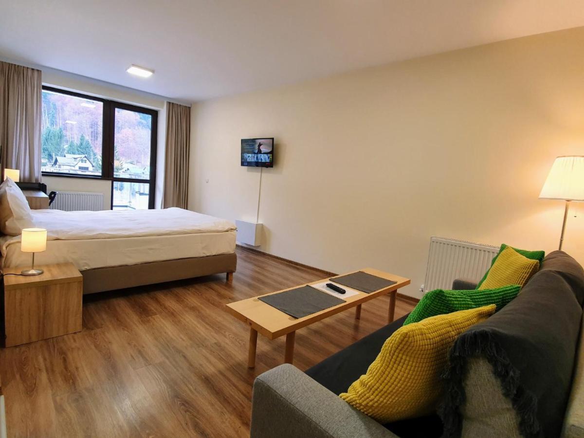 Studio Mountain View Sinaia Extérieur photo