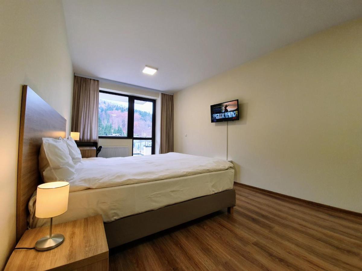 Studio Mountain View Sinaia Extérieur photo