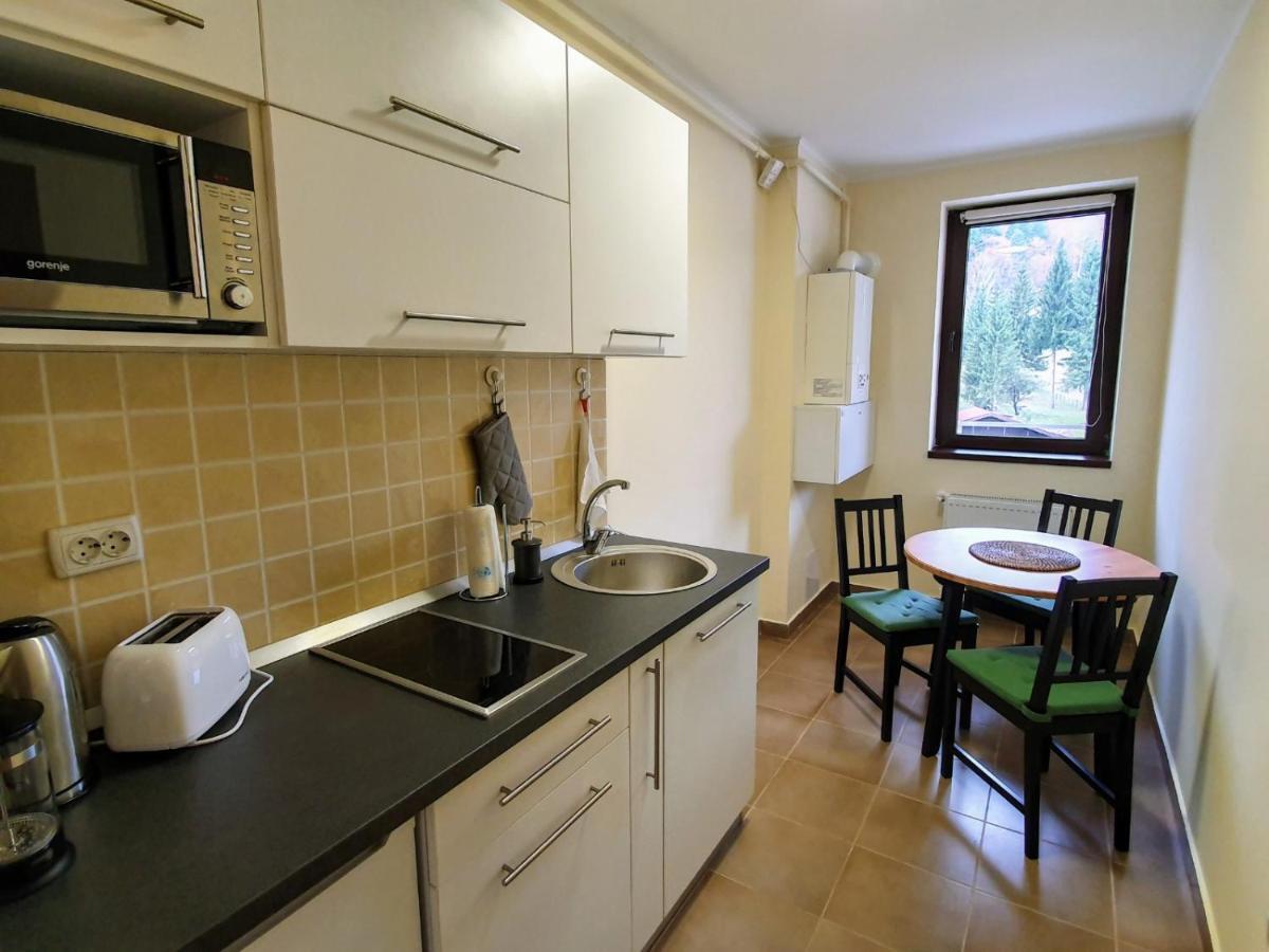 Studio Mountain View Sinaia Extérieur photo